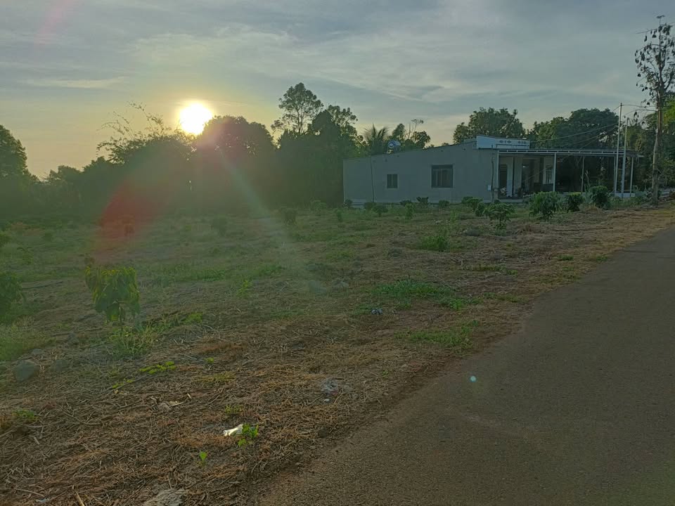 Bán Đất Vườn 3000m² Mặt Tiền Nhựa 40m Tại Châu Đức, BRVT - Sổ Hồng Sẵn Sàng