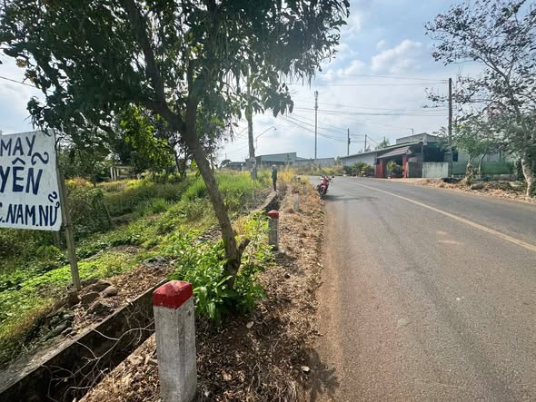 Đất Vườn 1598m² Mặt Tiền Kinh Doanh Bảo Bình, Đồng Nai - Giá 2.45 Tỷ