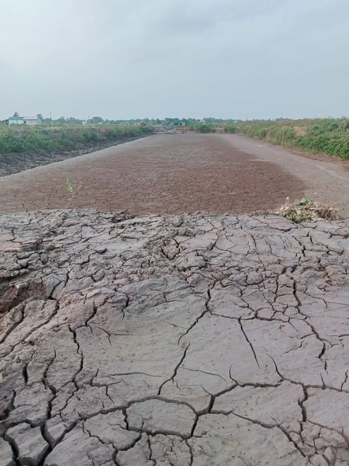 Bán 13.500m² đất vườn Vũng Liêm giá 1.485 tỷ - Đầu tư sinh lời ngay!