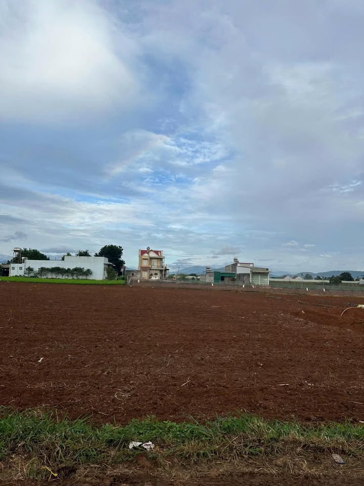 Đất Vườn Nghỉ Dưỡng Đà Lạt 500m² - Giá Cắt Lỗ 3.6 Tỷ