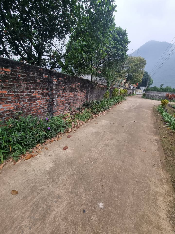 Bán Đất Ngọc Lương Yên Thủy Hòa Bình 470m² - Vườn Bưởi Trĩu Quả, Sẵn Sổ Đỏ