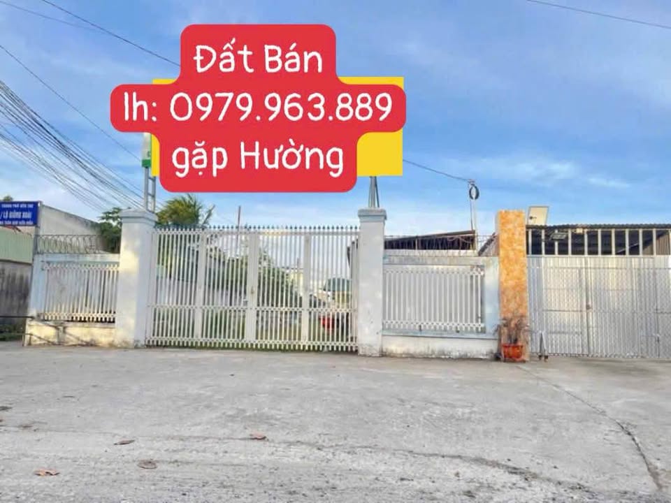 Bán Đất Mặt Tiền Phú Nhuận, Bến Tre - 538m² Gần Chợ, Kinh Doanh Đa Ngành