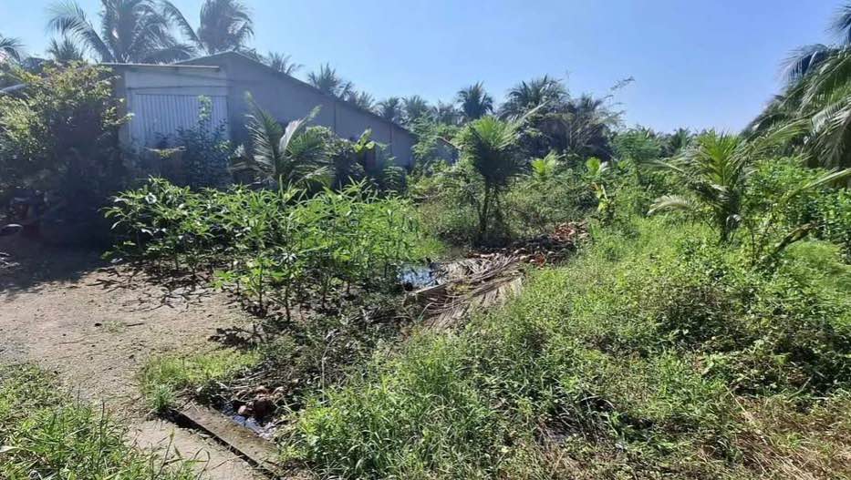 Đất nền Phú An Hòa 817m² giá 800 triệu - Tiềm năng tăng giá!