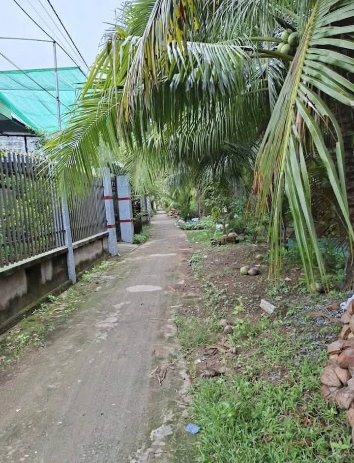 Đất Nền Phú An Hòa Bến Tre 198m² - Sổ Đỏ Rõ Ràng, Giá Đầu Tư 350 Triệu