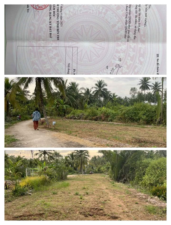 Đất nền Phú An Hòa 615m² giá 800 triệu - Sổ đỏ sẵn xây ngay!