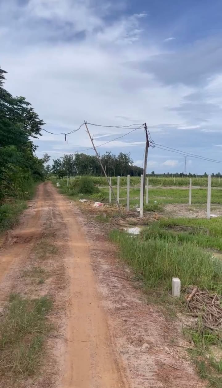 Đất Vườn 2000m² Tỉnh Tây Ninh - Giá Đầu Tư 1.24 Tỷ, Đường Xe Hơi