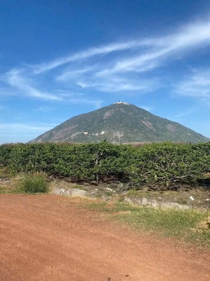 Đất vườn Suối Đá, Dương Minh Châu 1000m² - Nghỉ dưỡng lý tưởng!