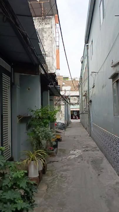 Thuê nhà Phan Huy Ích Gò Vấp 36m² giá 10 triệu - Sẵn sàng ở ngay!