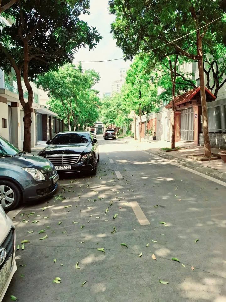 Nhà Phố Dịch Vọng 110m² - Vỉa Hè, Ô Tô Tránh - Kinh Doanh Đỉnh Cao 33.5 Tỷ