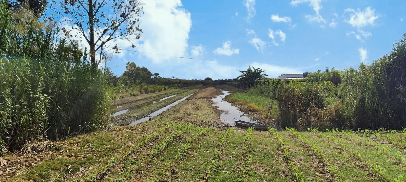 Đất Nền QL61C Cần Thơ 6.150m² - Tiềm năng tăng giá vượt trội!