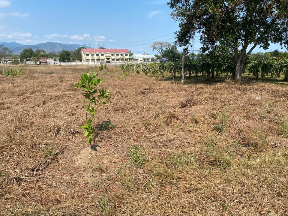 Đất vườn Hàm Thuận Nam 1720m² giá 350 triệu - Đầu tư sinh lời cao!