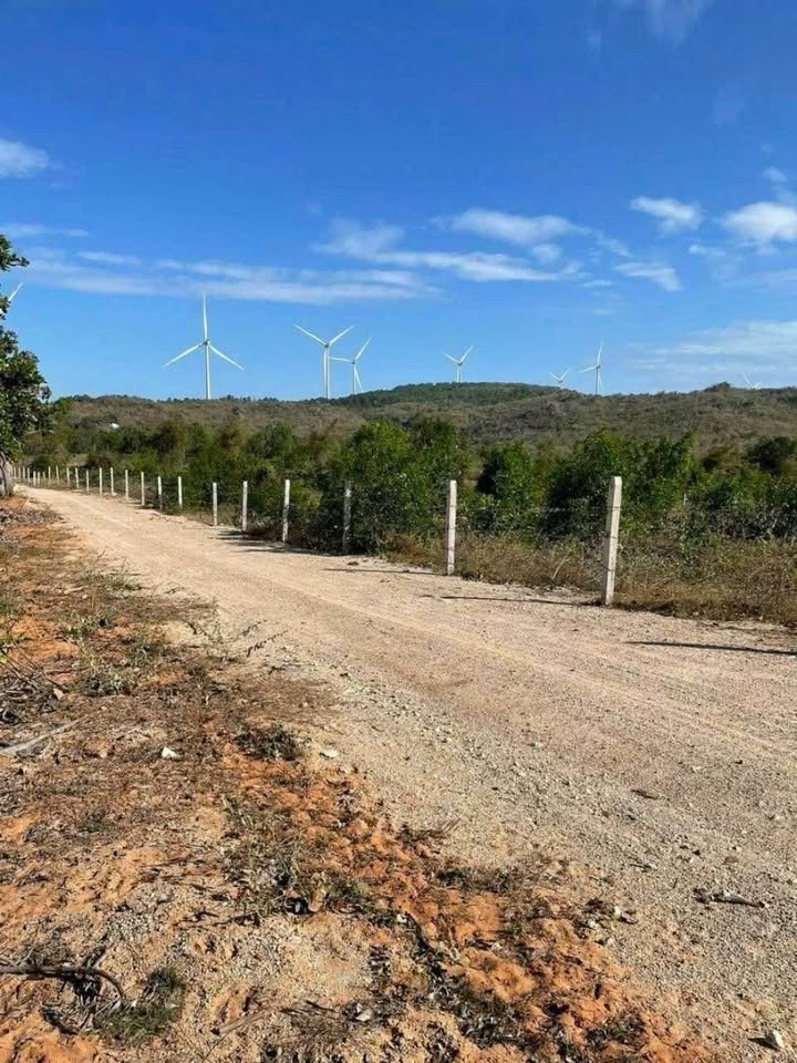 Đất Thiện Nghiệp Phan Thiết 8000m² giá 8 tỷ - Tiềm năng tăng giá