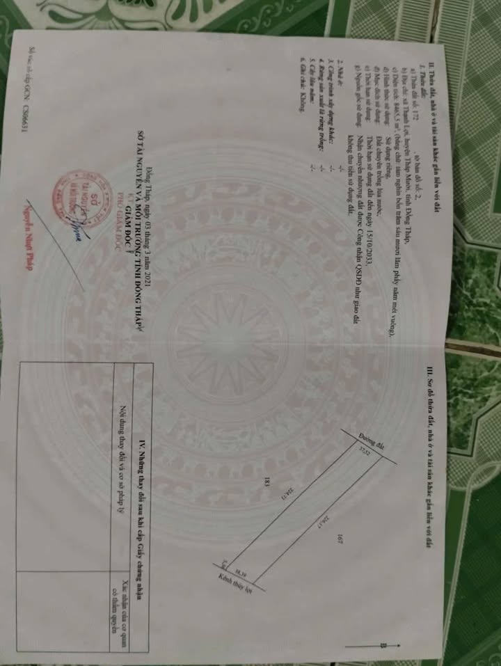 Đất Ruộng Thạnh Lợi, Tháp Mười 8400m² - Đầu Tư Dài Hạn!