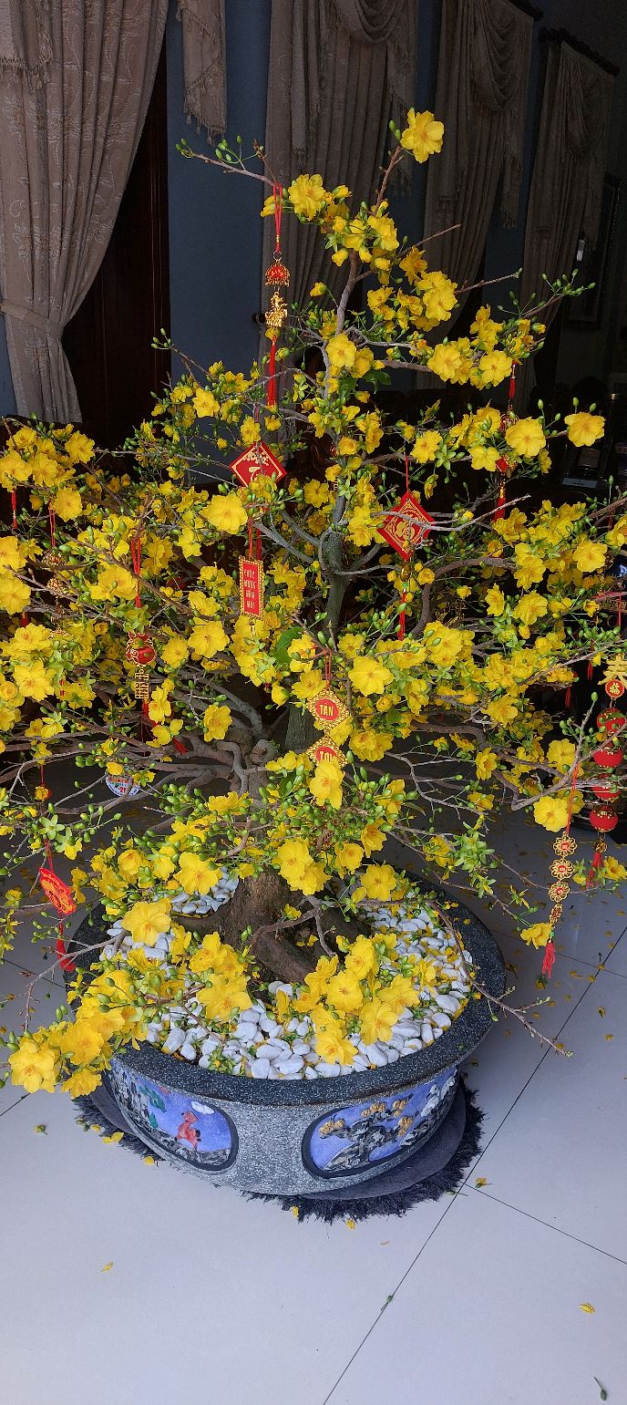 Đất Góc Mặt Tiền Hương Lộ 8, Bà Rịa - 168m² Sẵn Sàng Kinh Doanh