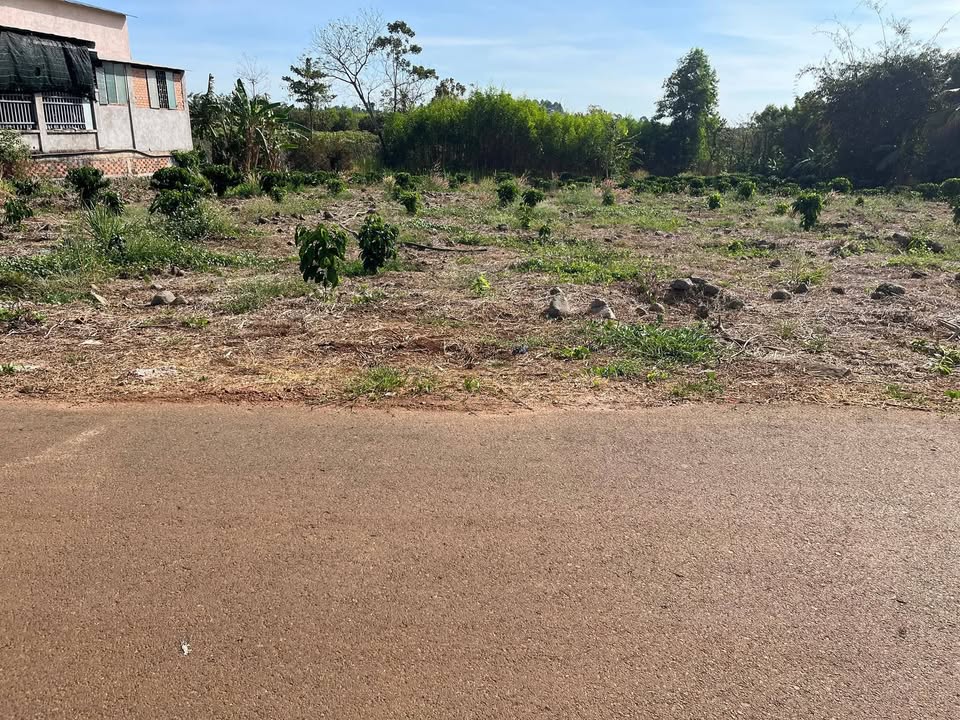 Đất Farm Tân Thành, Tân Phú 1080m² - Đất thổ cư 100%, Sổ hồng!