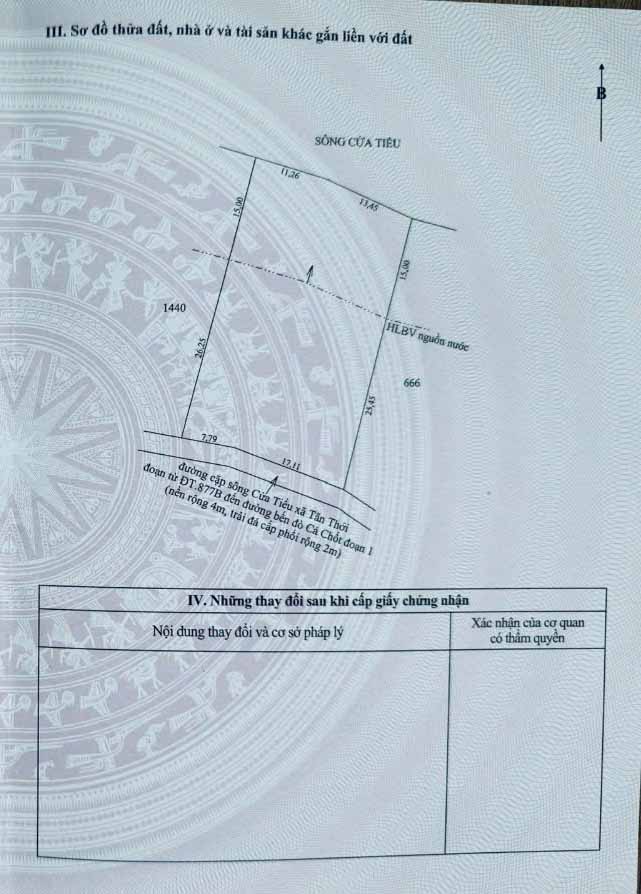 Bán Đất Cù Lao Tân Phú Đông 1005m² - Sổ Đỏ Sẵn Sàng