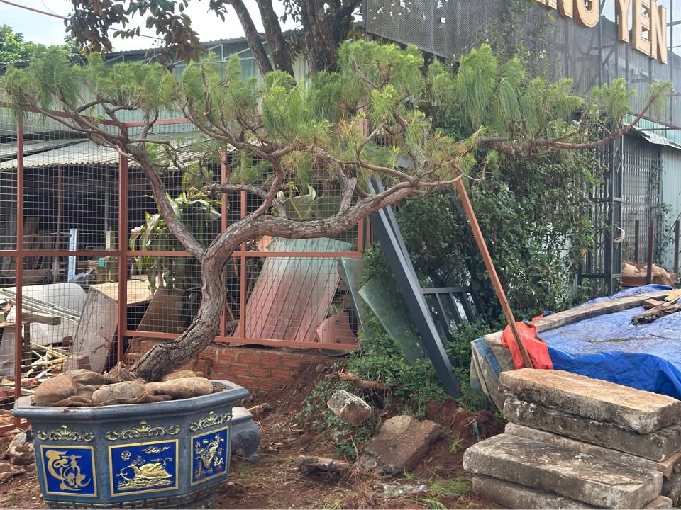 Đất nền Lương Thế Vinh Pleiku 200m² giá 1.2 tỷ - Sổ đỏ chính chủ