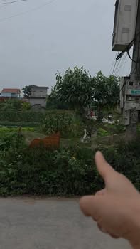 Đất Nền Lô Góc Trục Xã Hậu Thượng, Đông Hưng - 200m² - Giá Đầu Tư 1.4 Tỷ