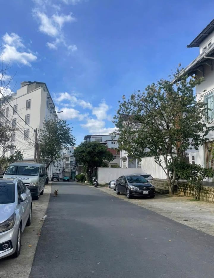 Đất Vàng Đà Lạt 970m² Mặt Tiền Trần Hưng Đạo - Sổ Riêng, Hướng Đông Bắc