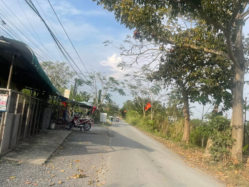 Đất nền Bến Lức 250m² giá 1.3 tỷ - Sổ đỏ chính chủ, tách 2 lô