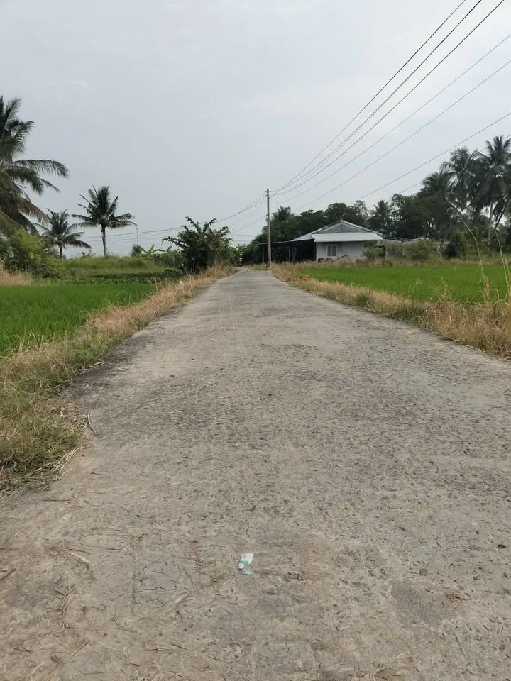 Đất nền Xã Đức Tân, Long An 1178m² giá 1.75 tỷ - Tiềm năng tăng giá!