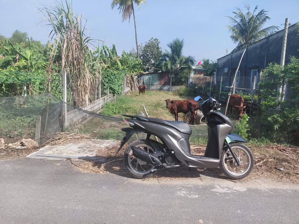 Đất thổ cư Củ Chi 213m² - Mặt tiền nhựa, gần TL8, giá 3.2 tỷ