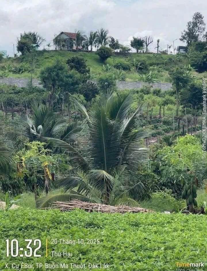 Đất nền Cư ÊBur, Buôn Ma Thuột 610m² - Sổ đỏ sẵn, view đắc địa