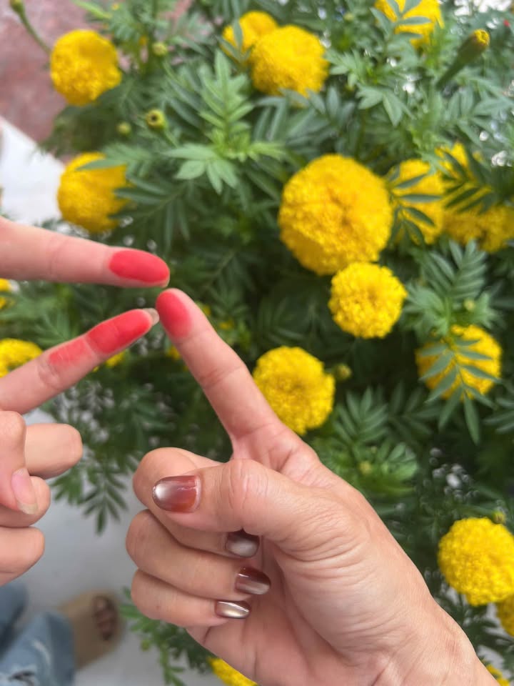 Đất nền Ninh Sơn 150m² giá 1 tỷ - Sổ hồng sẵn tiềm năng cao