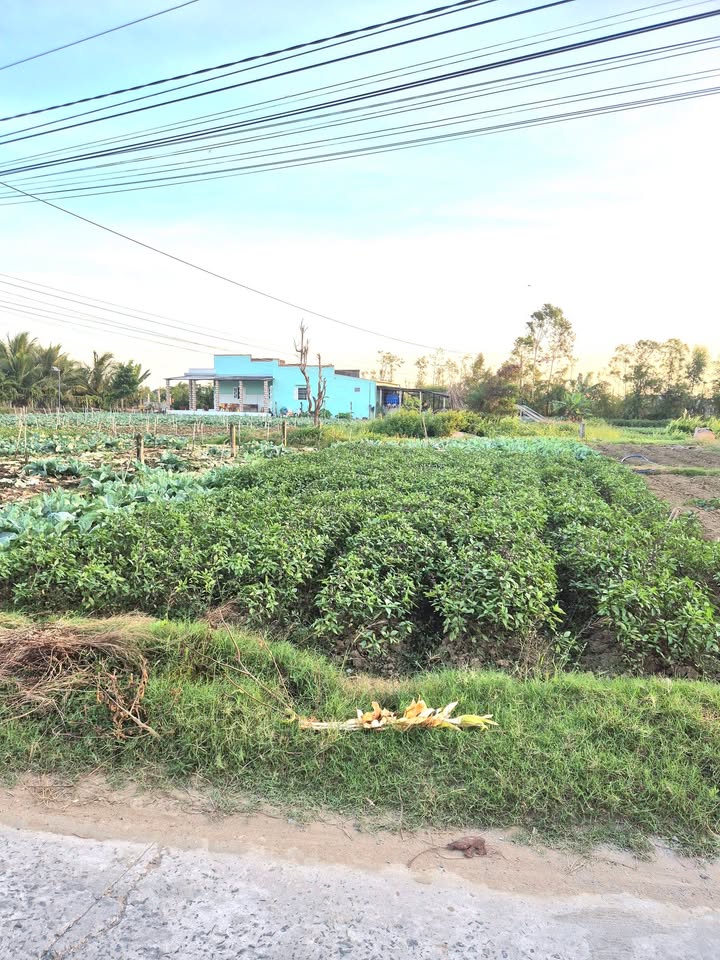 Bán đất nền Tân Đông Gò Công Đông 150m² giá 340 triệu - Sổ đỏ chính chủ!