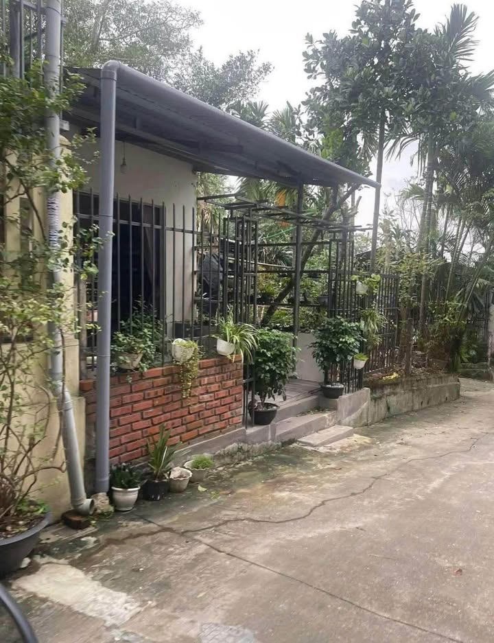 Nhà cấp 4 Mặt tiền Quảng Tế Huế 100m² - Sổ hồng sẵn, chính chủ!