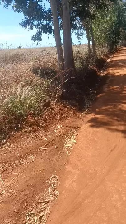 Bán 3 Sào Đất Làng Groi, Phú Thiện - Giá 260 Triệu, Sẵn Sàng Đầu Tư