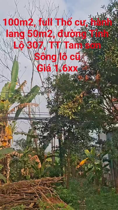 Đất nền 100m² Trục chính 307, Tam Sơn, Phú Thọ - Giá chỉ 1.6 tỷ