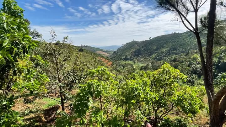 Đất Vườn Lộc Thành 4000m² giá 2.5 tỷ - View Thiên Nhiên Tuyệt Đỉnh!