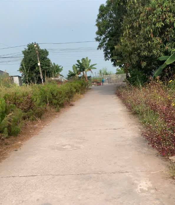 Đất nền KDC chợ Trường Tiền 80m² giá 4xx triệu - Sổ đỏ chính chủ!