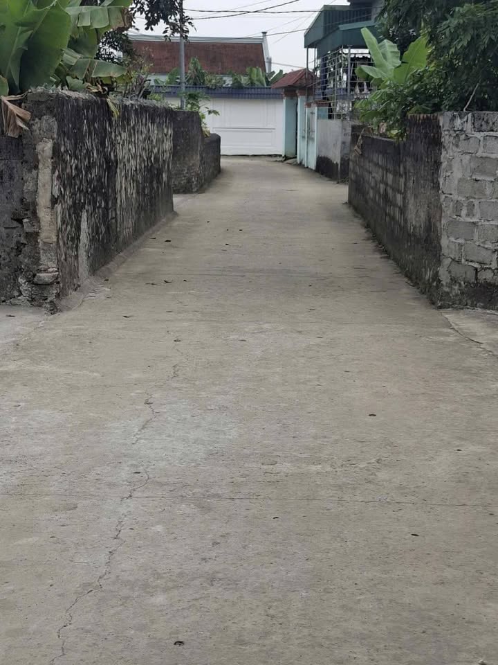 Đất nền Nho Quan Ninh Bình 140m² giá 900 triệu - Sổ đỏ chính chủ