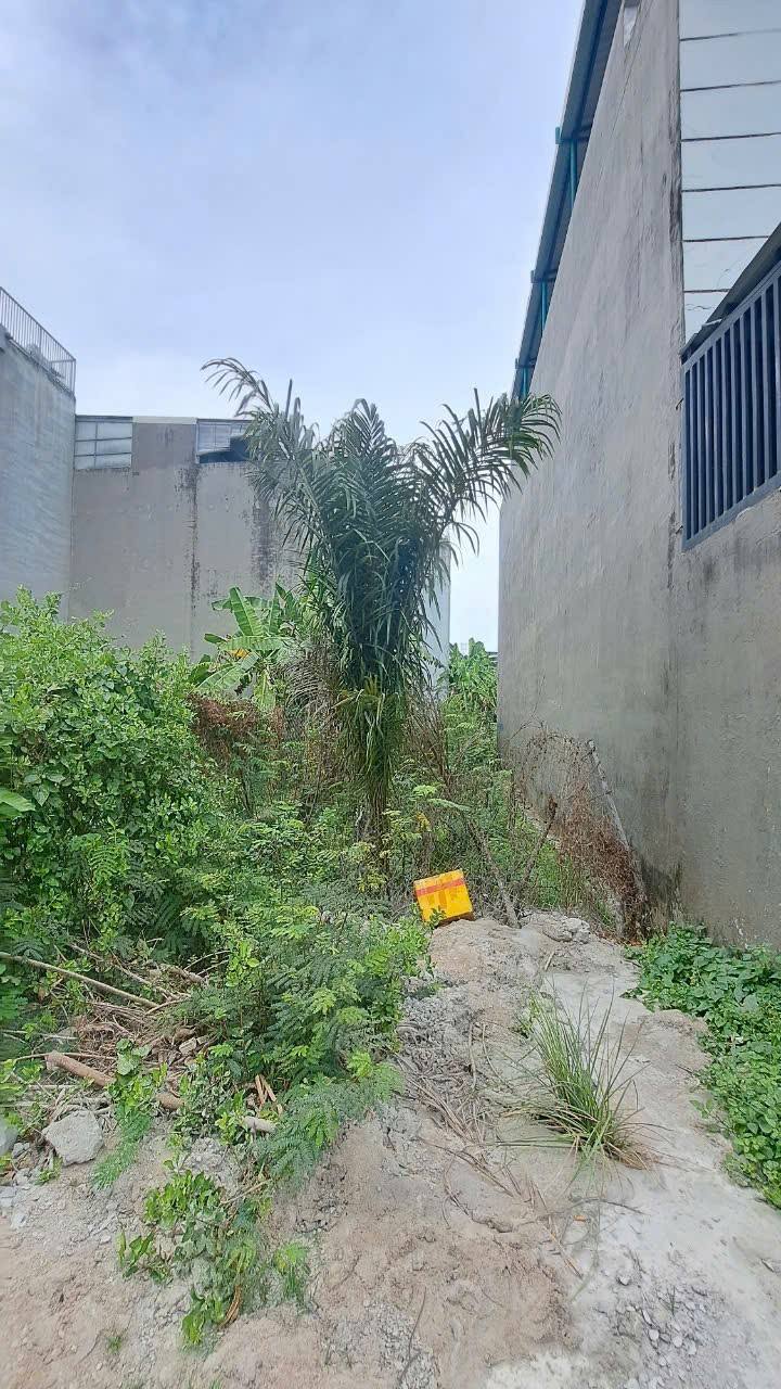 Đất nền Long Phước Thủ Đức 71m² - Sổ đỏ chính chủ, vị trí đẹp!