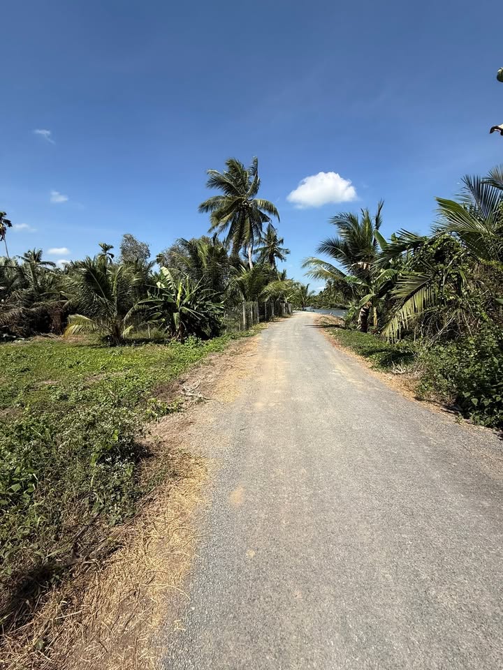 Đất Vườn Trà Vinh 160m² - View Sông Mát Mẻ, Gần Chợ Càng Long