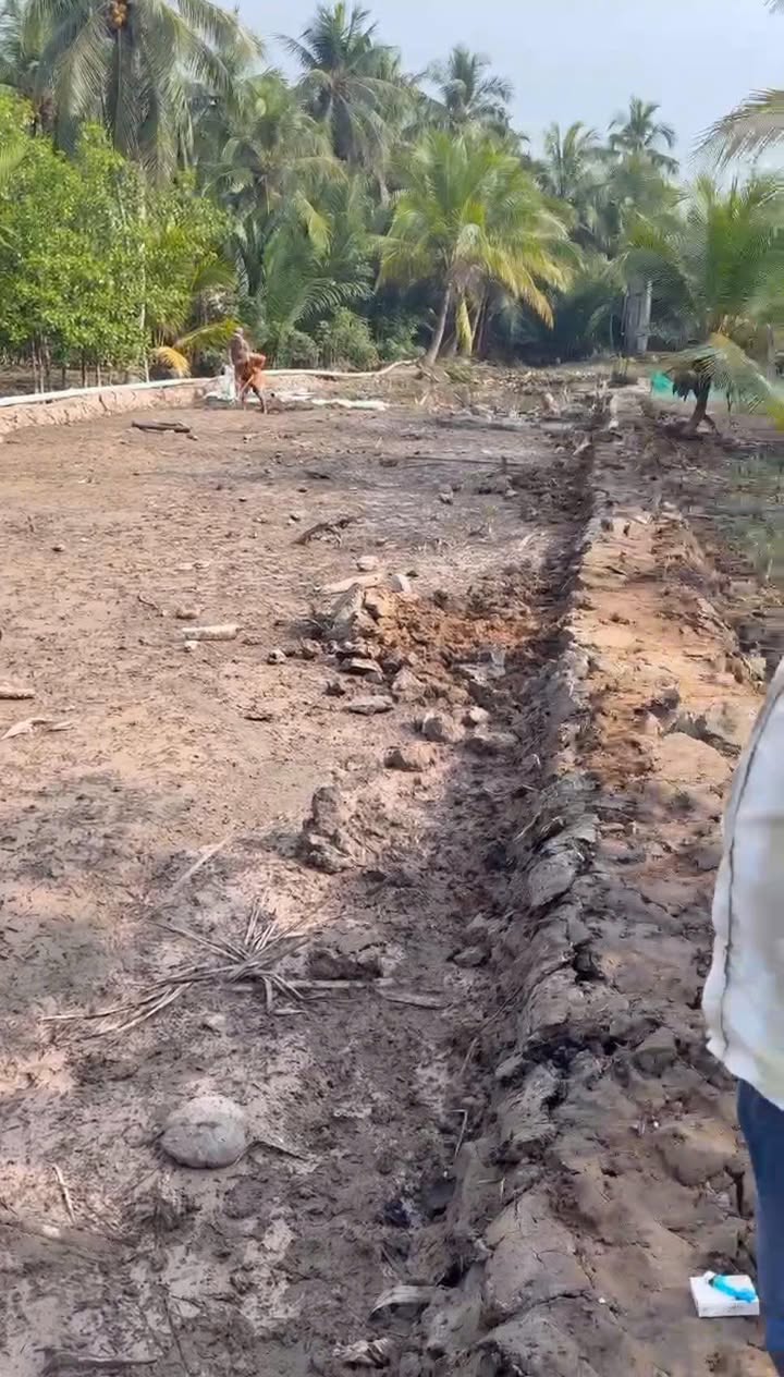 Đất nền Phước Hiệp, Mỏ Cày Nam 300m² - Sổ đỏ sẵn, giá chỉ 390 triệu!