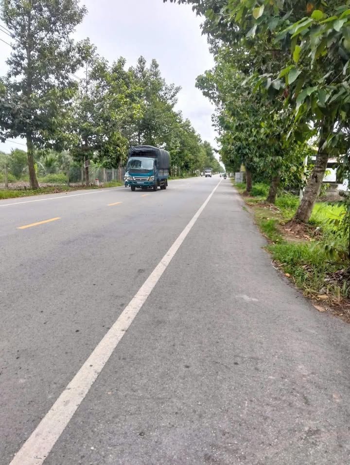 Đất Mặt Tiền Giồng Trôm 7200m² - Xe Container Vào Tận Nơi - Giá Đầu Tư 780 Triệu/Công