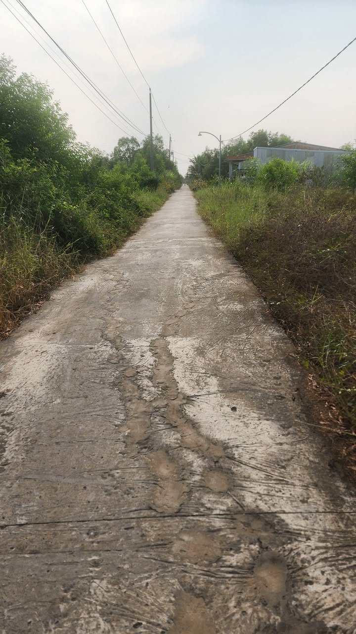 Đất nền Tân Thạnh 400m² - Pháp lý rõ ràng, tiềm năng sinh lời!