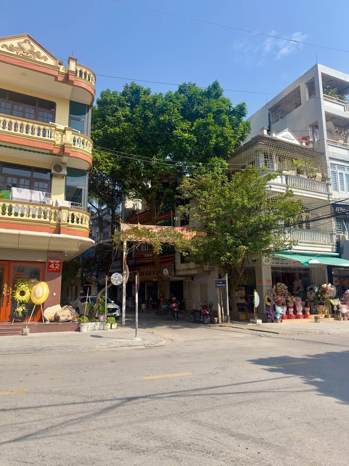 Đất nền Điện Biên 80m² - Ngay Vincom, 4 ô tô tránh, Sổ đỏ sẵn sàng