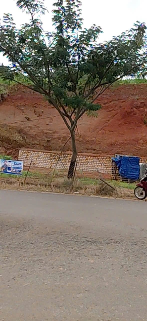 Đất nền Xuân Trường Đà Lạt 284m² - Hẻm nhựa rộng, sổ riêng, giá 7.5 tỷ