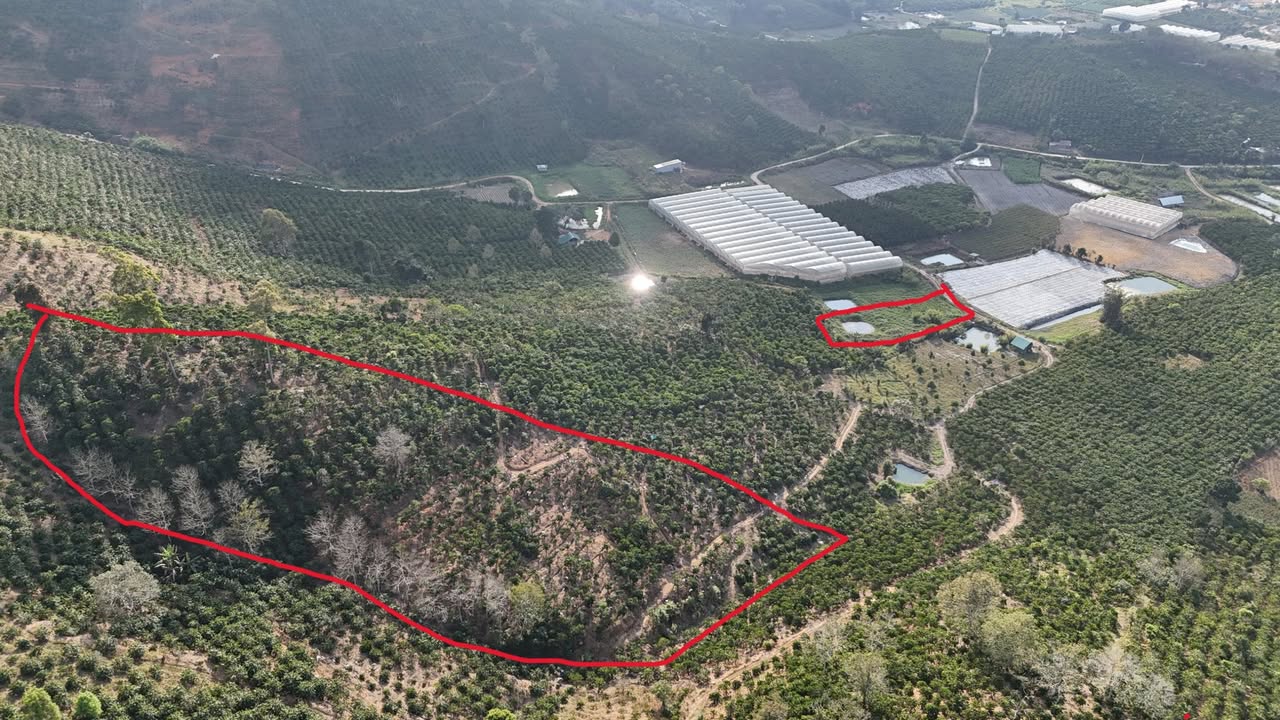 Bán Gấp 3 Thửa Vườn Trung Tâm Đam Rông, Lâm Đồng - Giá Hời