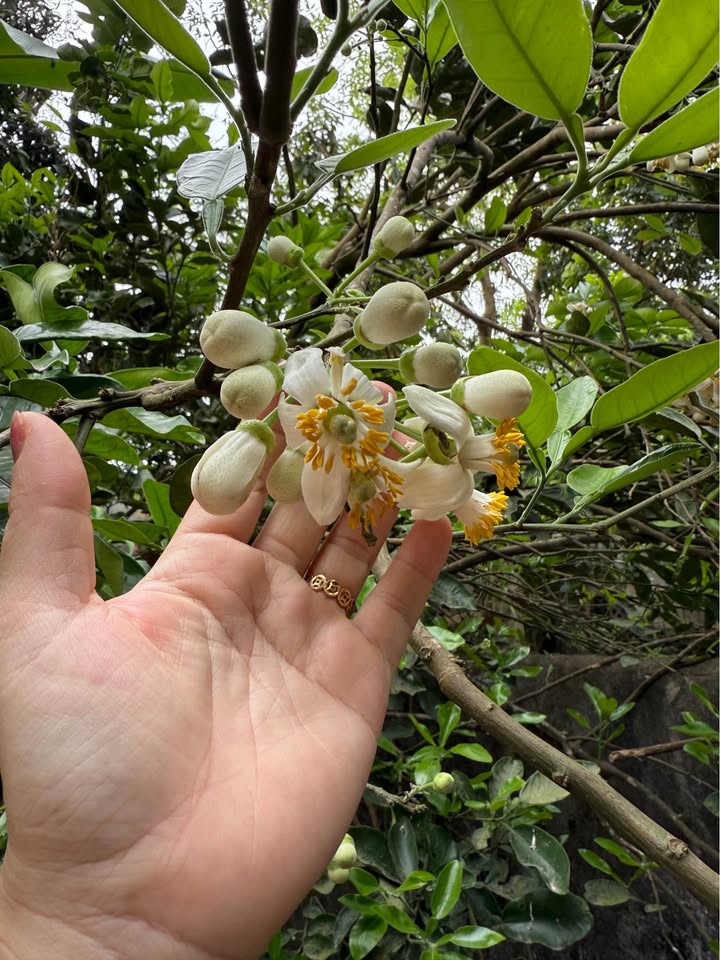 Thuê căn hộ Tín Phong 12 View Quận 12 giá từ 7.5 triệu - Full nội thất