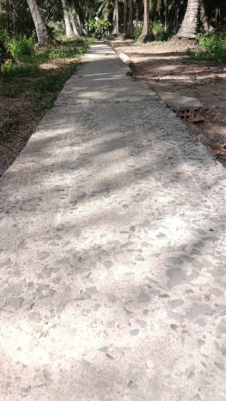 Đất vườn Giồng Trôm 3200m² giá 1.152 tỷ - Đầu tư dài hạn lý tưởng