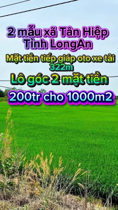 Đất nền Xã Tân Hiệp, Long Thành 1000m² giá 200 triệu - Đường to ô tô!