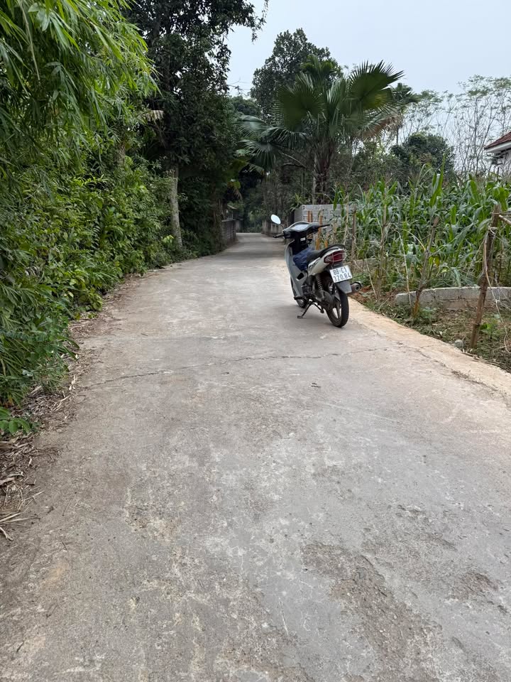 Đất Thụy Bình, Thái Thụy: 129m² Thổ Cư, Giá 688 Triệu - Lì Xì Vàng Đầu Năm