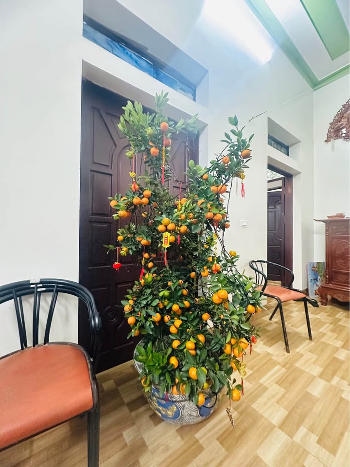 Nhà 40m² Hướng Bắc Giá 8xx Triệu - Gần Ngã 4 Kỳ Đồng, TP Thái Bình