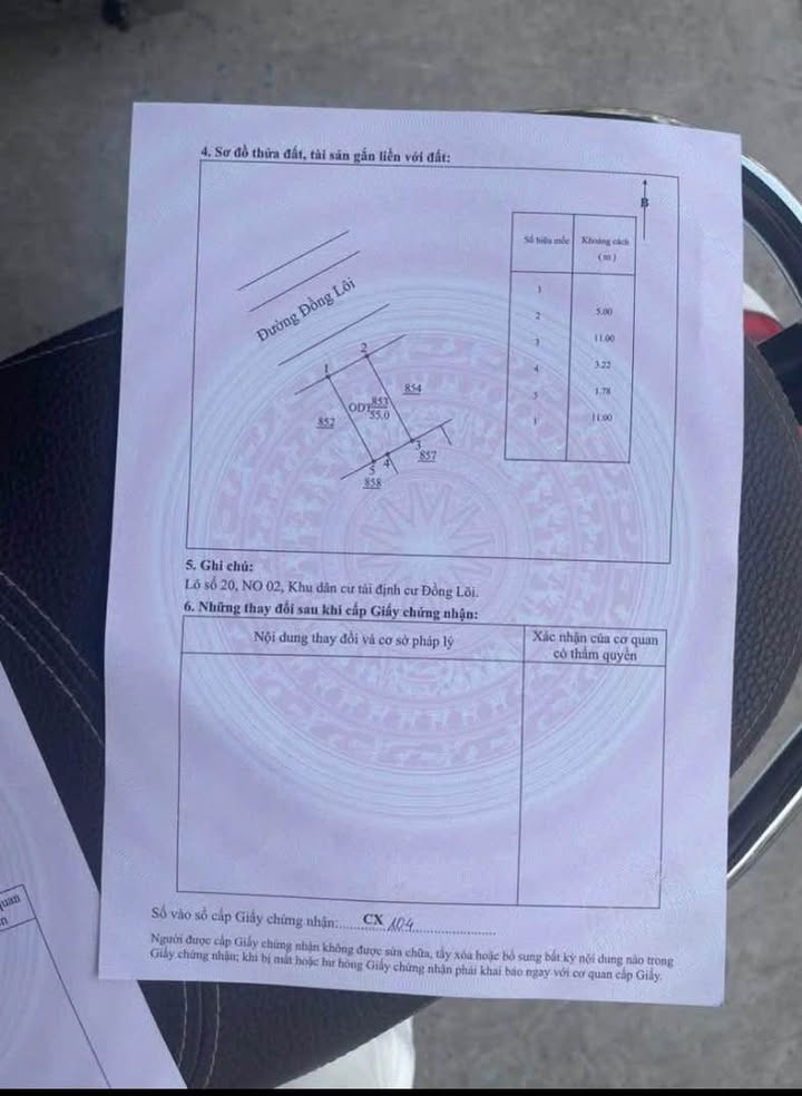 Đất Mặt Phố Đồng Lôi, Thái Bình - Kinh Doanh Đắc Lộc, 55m² Giá 3 Tỷ