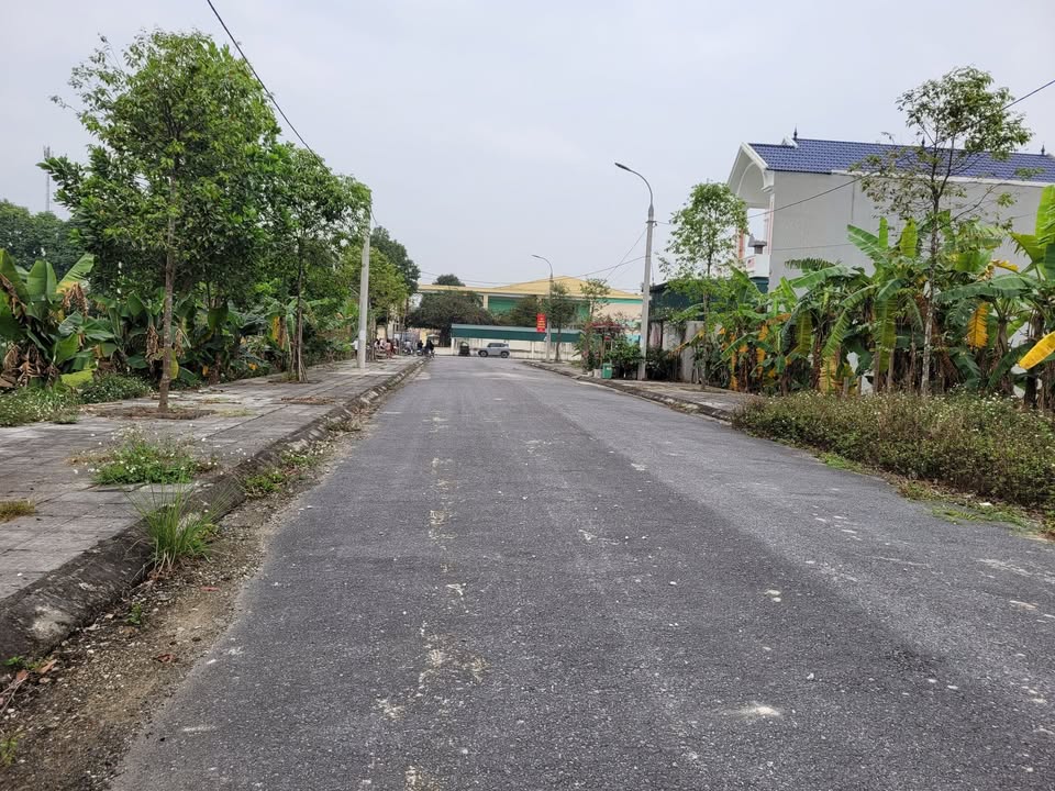 Đất nền Rừng Thông 100m² Thanh Hóa - Tiềm năng tăng giá vượt trội!